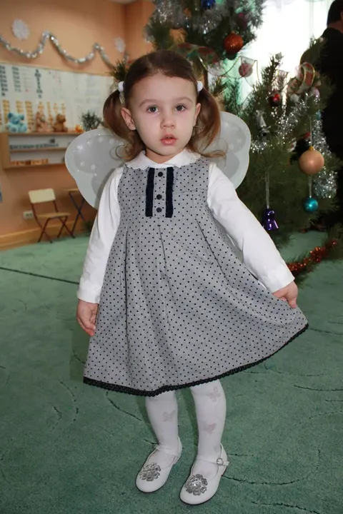 Новый год 2011
