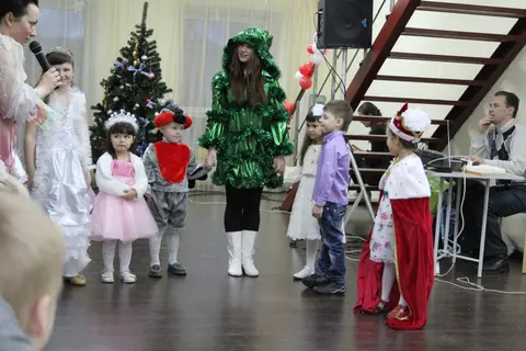 Новый год 2013