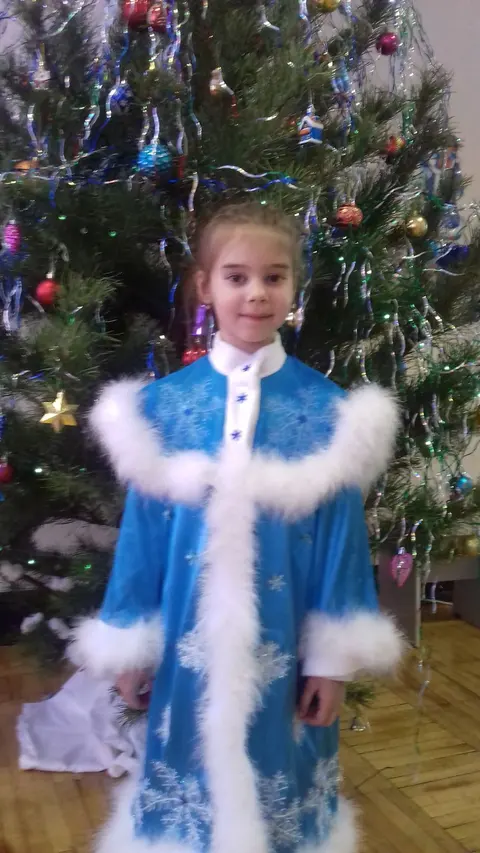Новый год 2017